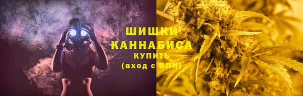 спиды Богородицк