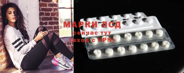 спиды Богородицк