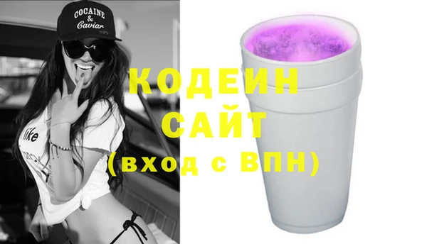 спиды Богородицк