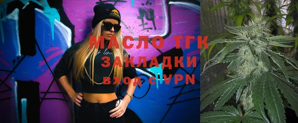 спиды Богородицк