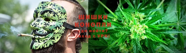 a pvp Богданович