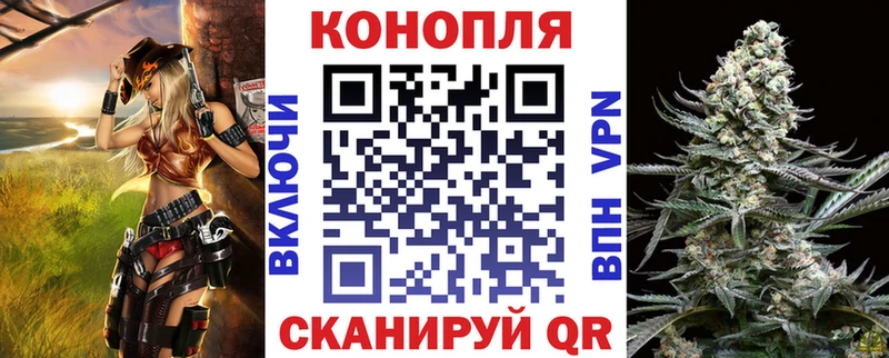 как найти наркотики  Будённовск  hydra ссылка  Конопля SATIVA & INDICA 
