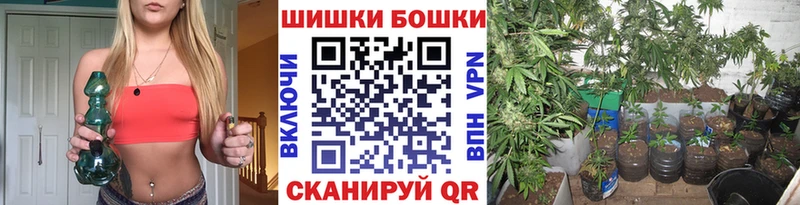 Шишки марихуана Bruce Banner Будённовск